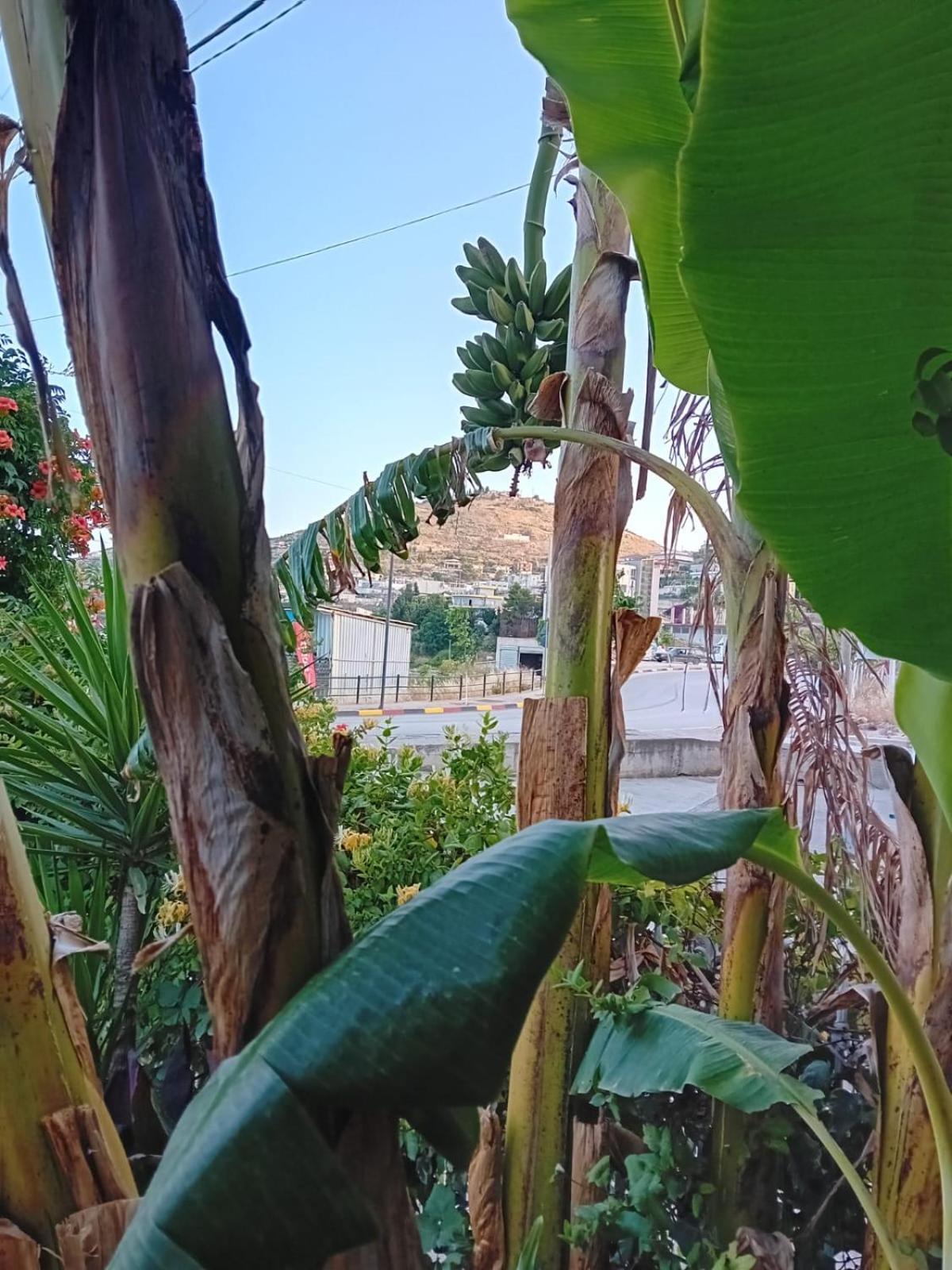 Villa Allkushi Σαράντα Εξωτερικό φωτογραφία